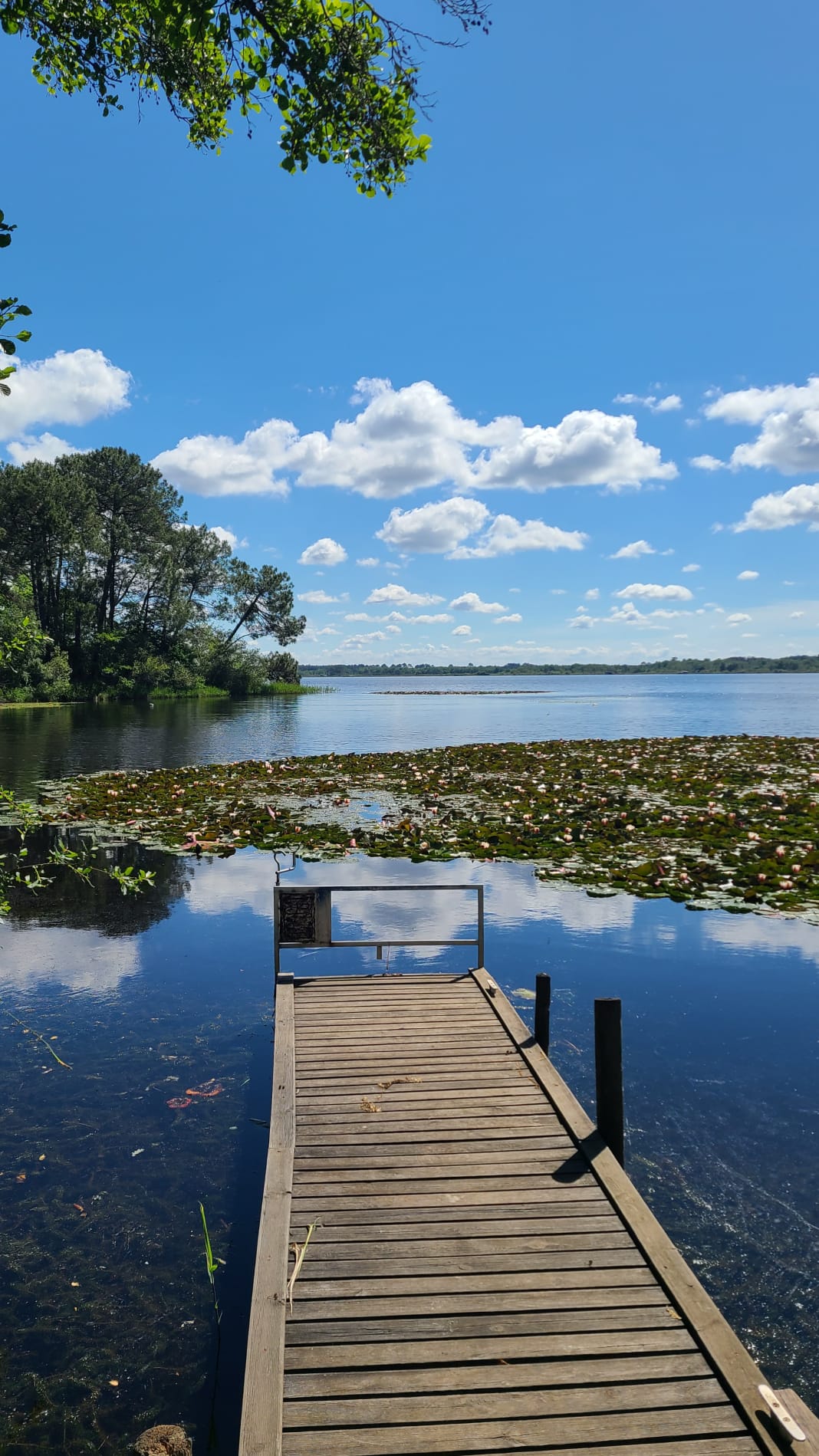 Un ponton en bois s'avançant sur un lac calme, sous un ciel dégagé
